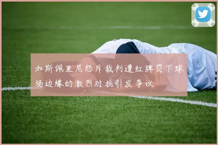 加斯佩里尼怒斥裁判遭红牌罚下球场边缘的激烈对抗引发争议