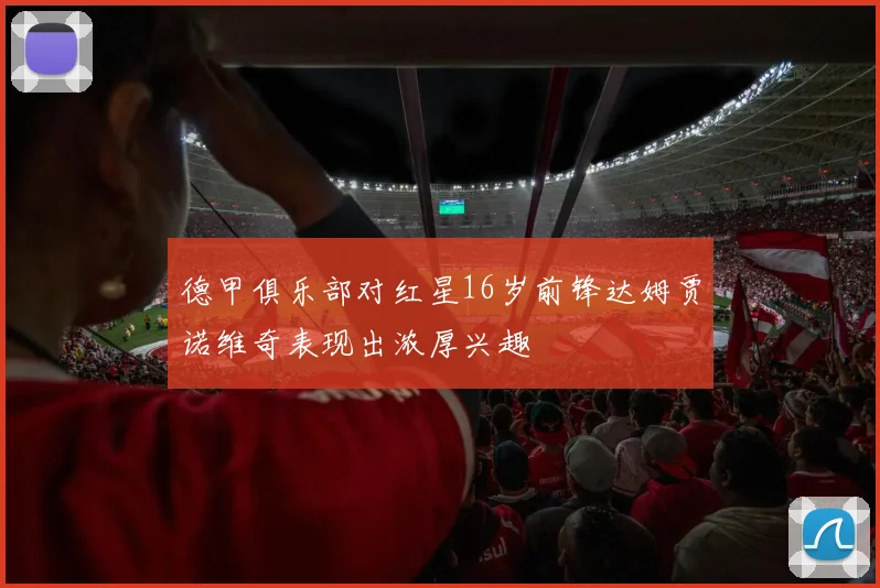 德甲俱乐部对红星16岁前锋达姆贾诺维奇表现出浓厚兴趣