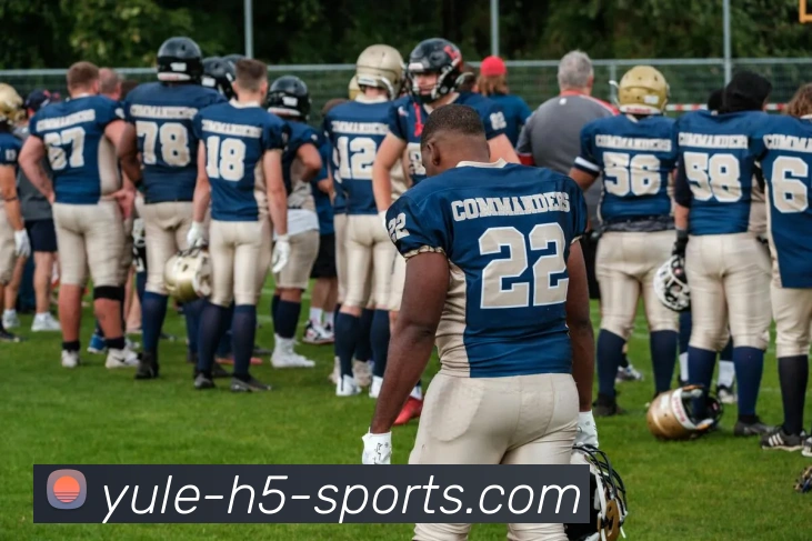 乐鱼体育发展历程